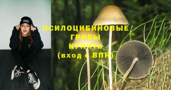 шишки Балабаново