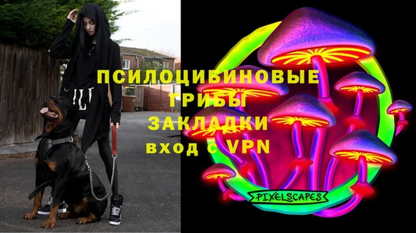 хмурый Балахна