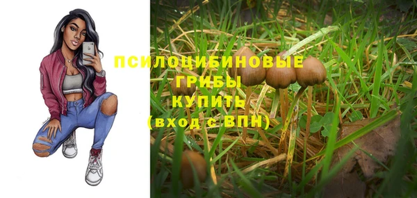 хмурый Балахна