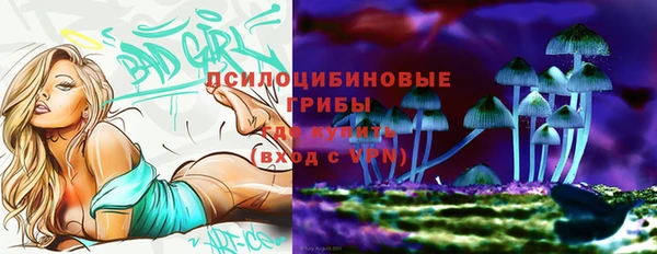 шишки Балабаново