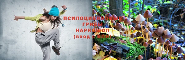 хмурый Балахна
