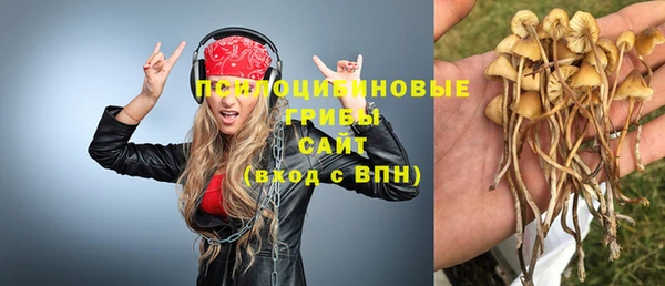 хмурый Баксан
