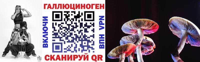 где купить наркоту  Бобров  мега рабочий сайт  Галлюциногенные грибы мицелий 
