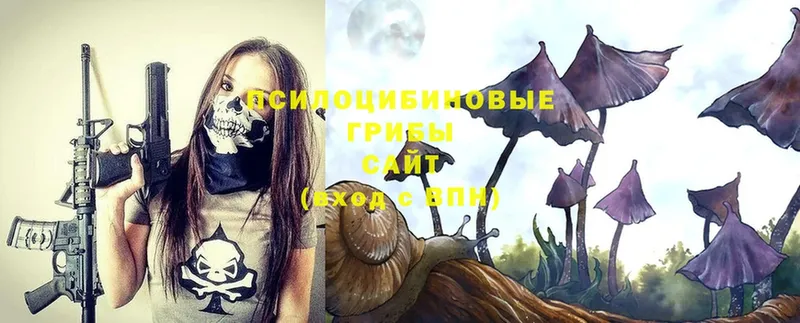 Галлюциногенные грибы Psilocybe  площадка Telegram  Бобров 